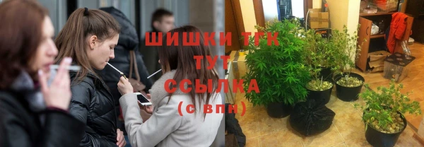 прущие грибы Володарск