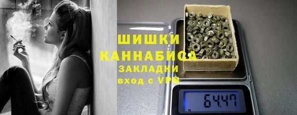 прущие грибы Володарск