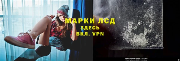 прущие грибы Володарск