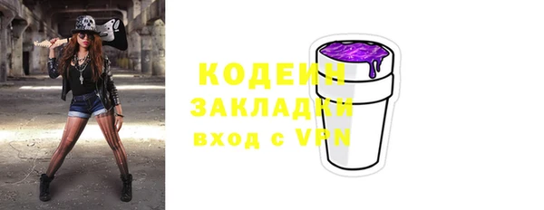 твердый Сосновоборск