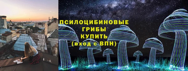 прущие грибы Волоколамск