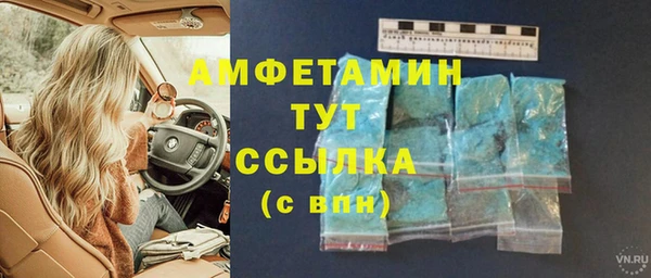 прущие грибы Володарск