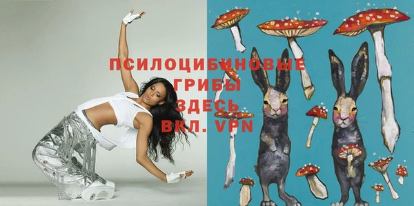 прущие грибы Волоколамск