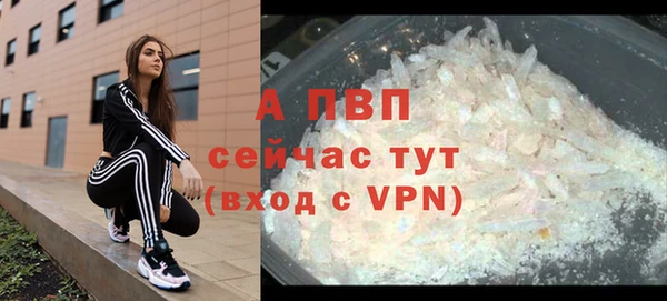 прущие грибы Волоколамск