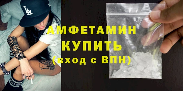прущие грибы Волоколамск