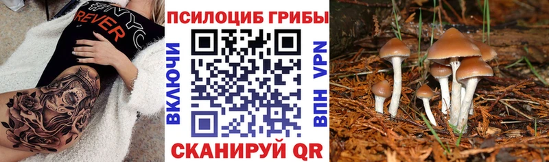 Галлюциногенные грибы ЛСД  Лосино-Петровский 