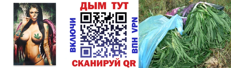 наркошоп  Лосино-Петровский  ОМГ ОМГ онион  Бошки Шишки планчик 